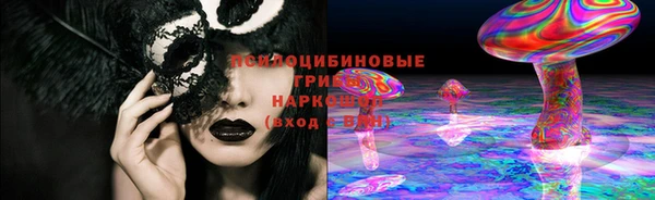 прущие грибы Абинск