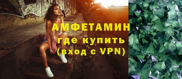 прущие грибы Абинск
