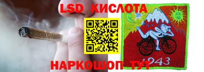 ГАЛЛЮЦИНОГЕННЫЕ ГРИБЫ Партизанск