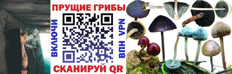 Галлюциногенные грибы ЛСД Сокол