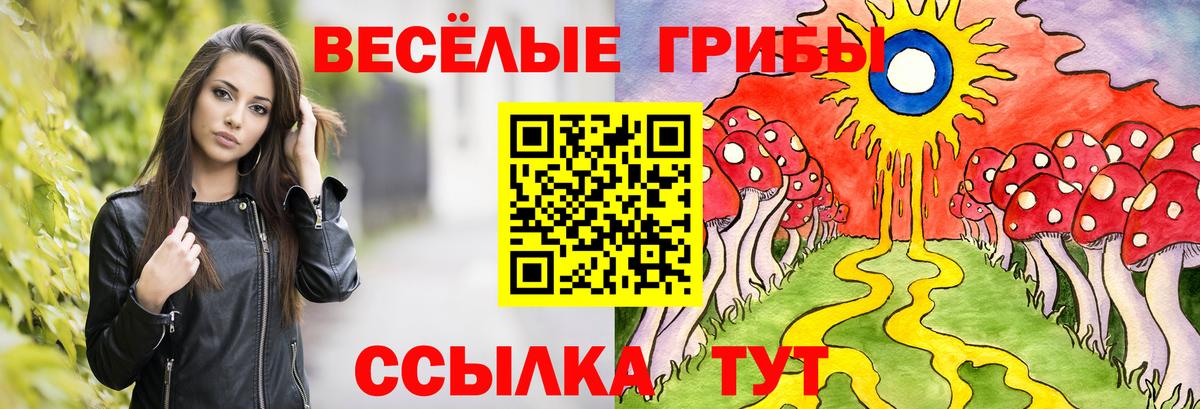 Галлюциногенные грибы Psilocybe Сокол