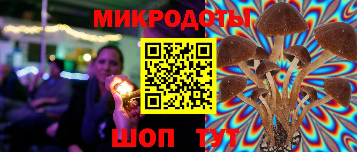 Галлюциногенные грибы MAGIC MUSHROOMS  Вход с VPN  купить наркотики сайты  Сокол 